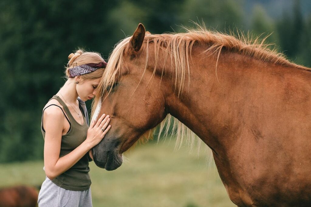 How To Help A Horse With Anxiety