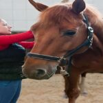 What Are The Common Feeding Mistakes For Horses