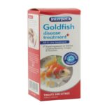 How To Treat Goldfish Diseases