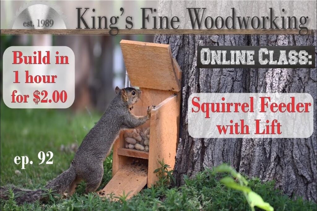 How To Build A Squirrel Feeder?