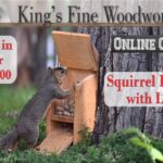 How To Build A Squirrel Feeder?